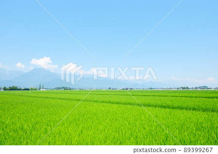 Summer countryside scenery Summer countryside scenery 89399267