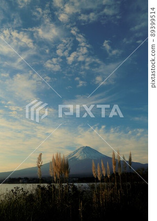 Mt. Fuji from Oishi Park Mt. Fuji from Oishi Park 89399514