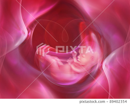 embryo 89402354