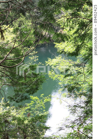 在森林裡的池塘 89402425