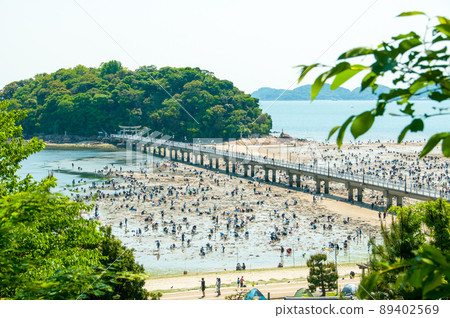 竹島 竹島 89402569