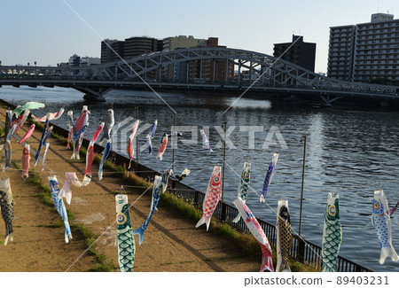 隅田川鯉魚旗 89403231