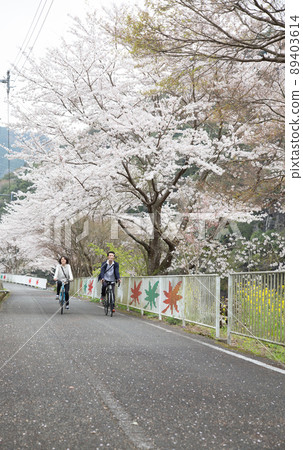 Spring Maple Ayama Cycling Road Spring Maple Ayama Cycling Road 89403614