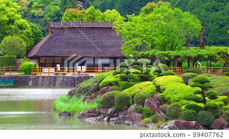 雨後的南樂園2 雨後的南樂園2 89407762