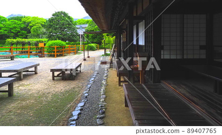 雨後的南樂園 4 89407765