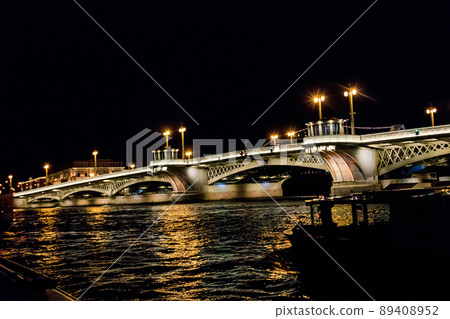 Annunciation bridge across the Neva river in Saint Petersburg, Russia. Night view 89408952