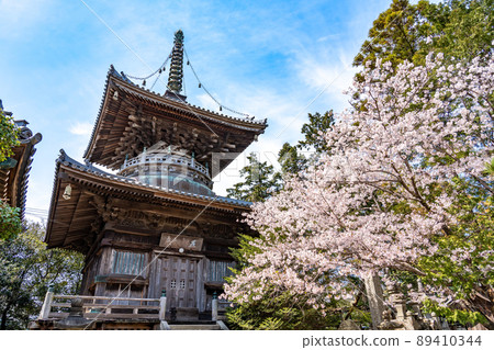 Naruto City, Tokushima Prefecture 89410344