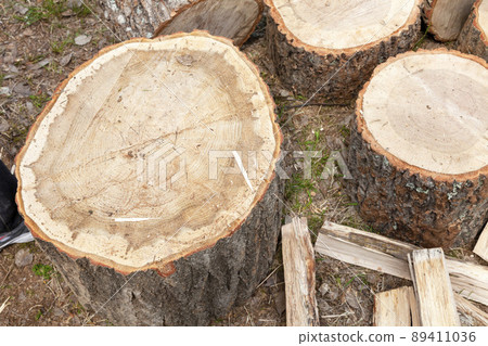 Chopping firewood 89411036