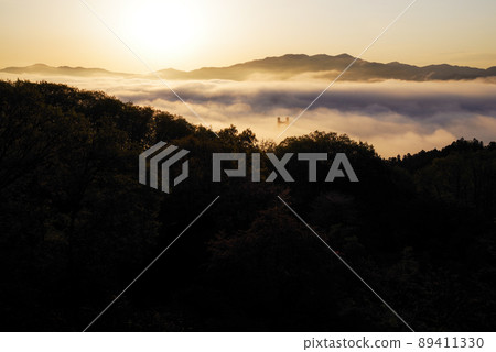 Chichibu Sea of Clouds [Saitama Prefecture] 89411330