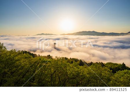 Chichibu Sea of Clouds 89411525