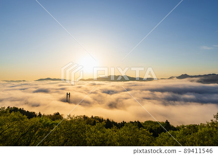 秩父雲海 89411546