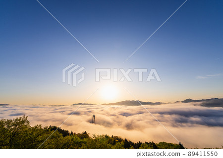 Chichibu Sea of Clouds Chichibu Sea of Clouds 89411550