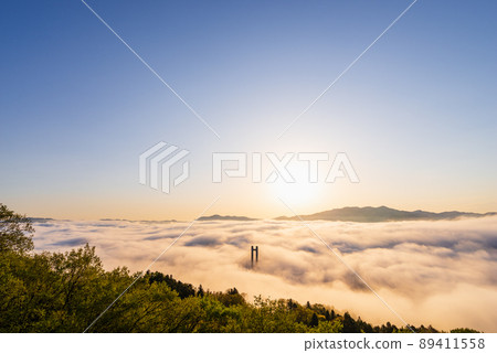 Chichibu Sea of Clouds Chichibu Sea of Clouds 89411558