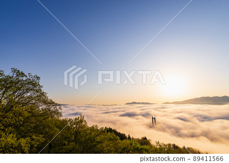 Chichibu Sea of Clouds Chichibu Sea of Clouds 89411566