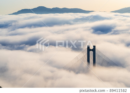 秩父雲海 秩父雲海 89411582