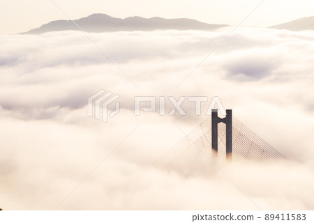 秩父雲海 89411583