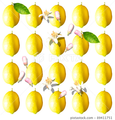 Fresh lemons and lemon flowers lined up Fresh lemons and lemon flowers lined up 89411751
