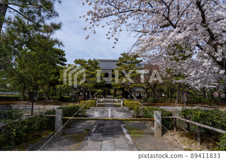 Scenery around Higashiyama, the spring cherry blossoms of Kyoto Scenery around Higashiyama, the spring cherry blossoms of Kyoto 89411833