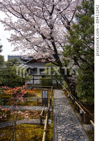 Scenery around Higashiyama, the spring cherry blossoms of Kyoto 89411842