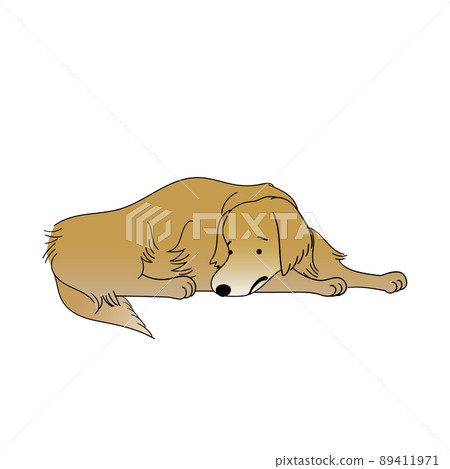 沒有精力的狗 89411971