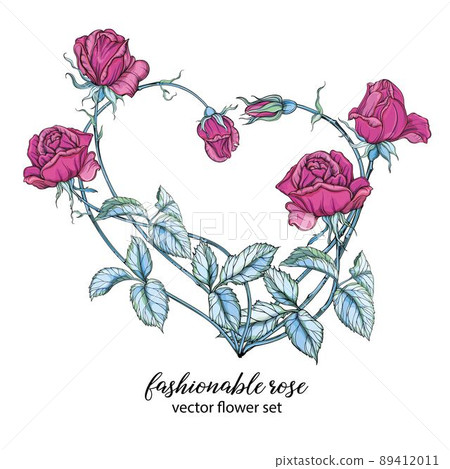 Heart of rose flowers. Pink rose. Vector flower... - Stock Illustration ...