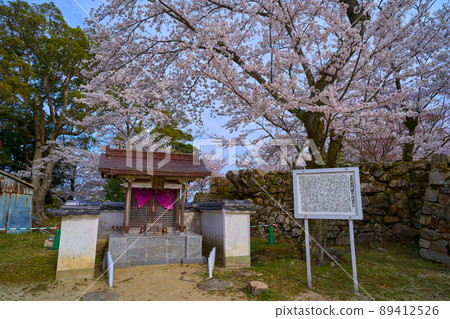 Shibauemon Raccoon's shrine at the ruins of Sumoto Castle in Sumoto City, Hyogo Prefecture in the spring 89412526