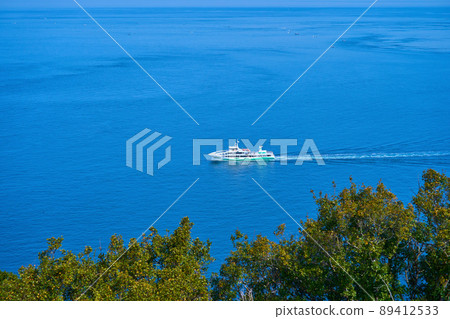 A tide boat sailing in the Naruto Kaikyou in Tokushima Prefecture 89412533