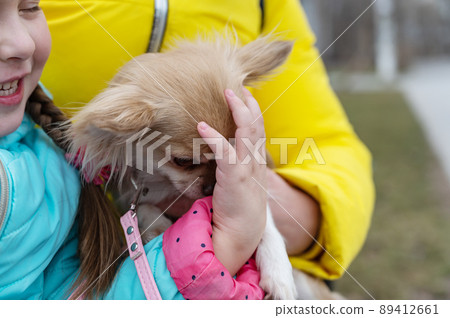 Mothers with a preschool-aged daughter and a pet in their arms outside. A five-year-old girl, a middle-aged woman and a Chihuahua dog. Family. Close-up. Mothers with a preschool-aged daughter and a pet in their arms outside. A five-year-old girl, a middle-aged woman and a Chihuahua dog. Family. Close-up. 89412661