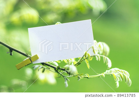 White blank paper card mock up on spring tree White blank paper card mock up on spring tree 89413785