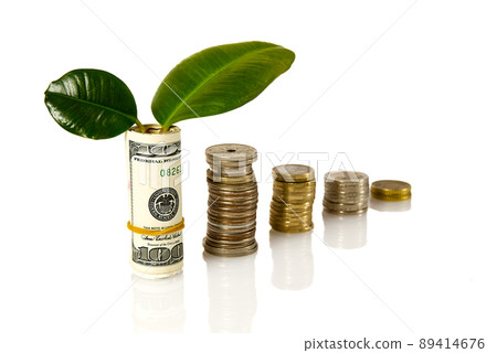 money tree growing. economic downturn. concept of investment growth like a growing tree. money tree growing. economic downturn. concept of investment growth like a growing tree. 89414676