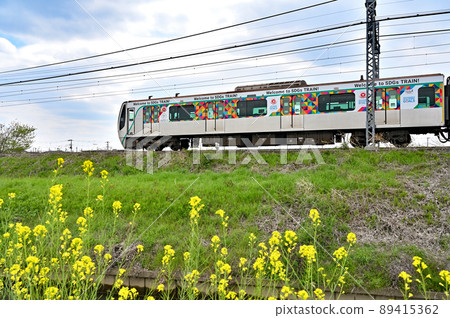 Railway Private railway: Tobu Isesaki Line Tokyu / Tobu boarding Sogs train Tokyu 2020 series 89415362