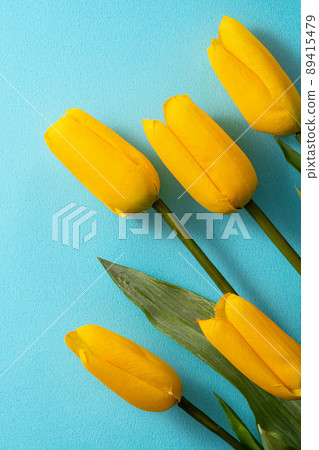 鬱金香 花束 母親節 禮物 Tulip Mother's Day 母の日 チューリップ 89415479