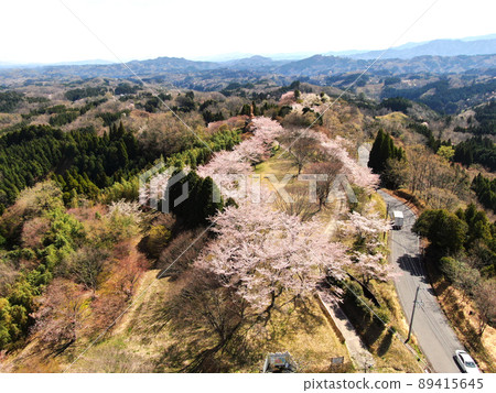 Maseno Pass 高花公園櫻花樹鳥瞰圖 89415645