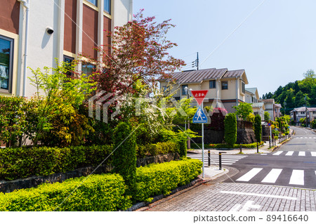 A suburban detached housing complex with lots of greenery and flowers. A luxurious and quiet residential area with blocks laid out on the road. A suburban detached housing complex with lots of greenery and flowers. A luxurious and quiet residential area with blocks laid out on the road. 89416640