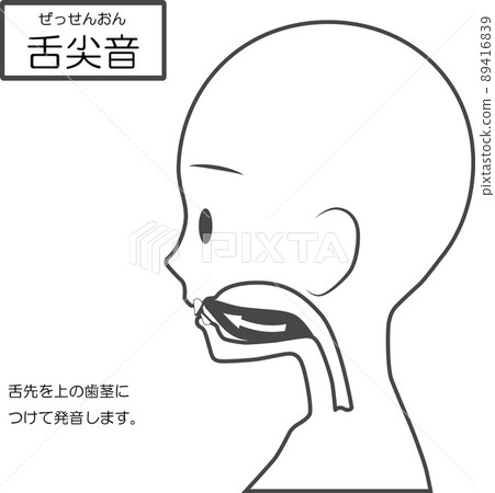 Chinese pronunciation learning [apical consonant] 89416839