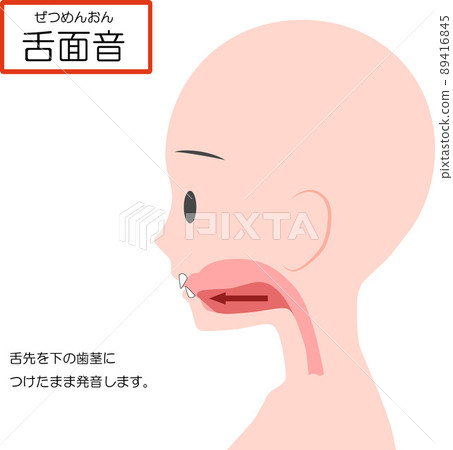 Chinese pronunciation learning [tongue sound] 89416845