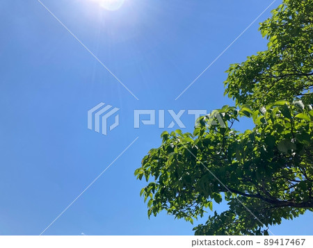 藍天 天空 翠綠 89417467
