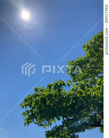 天空 藍天 翠綠 89417468