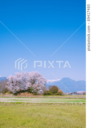 櫻花盛開和有明山[安曇野市穗高] 89417493