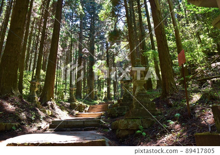 春天上色見熊野座神社熊本 春天上色見熊野座神社熊本 89417805