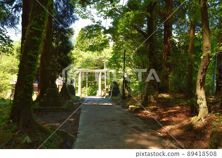 春天上色見熊野座神社熊本 春天上色見熊野座神社熊本 89418508