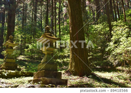熊本,春天的上色見熊野座神社的燈籠 熊本,春天的上色見熊野座神社的燈籠 89418566