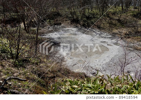 Bokke Lake Akan Forest Komichi Lakeside Scenery Hokkaido Eastern Hokkaido 89418594