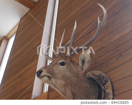 Deer made in deer 89418885