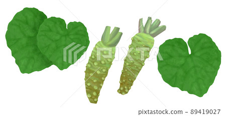 Hand-painted wasabi illustration 89419027
