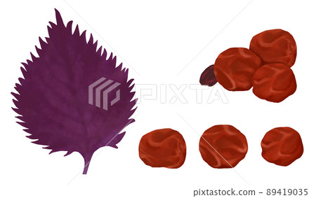 手繪酸梅插畫 89419035