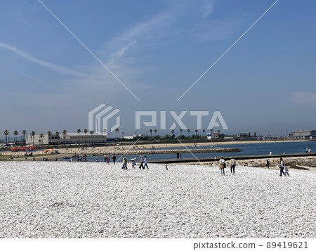 coast coast 89419621