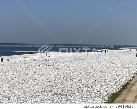 The beach The beach 89419622