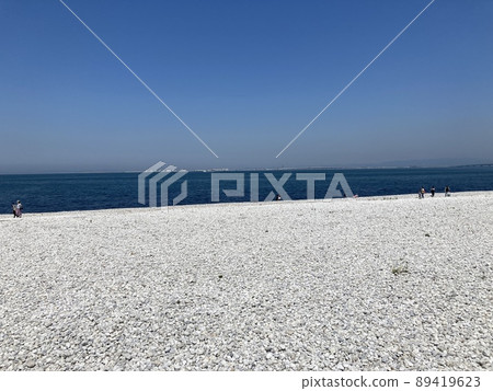 The beach 89419623