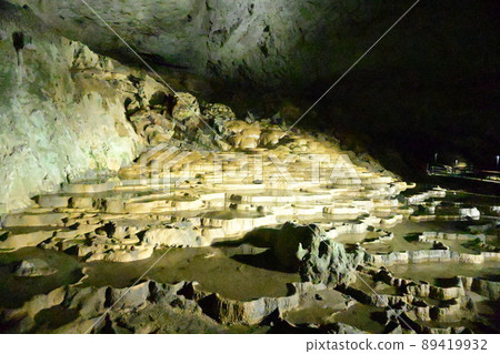 Shuhohora Shuhohora 89419932